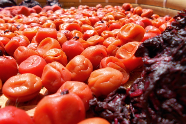 効果的な食べ物