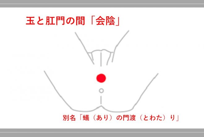 玉と肛門の間「会陰」