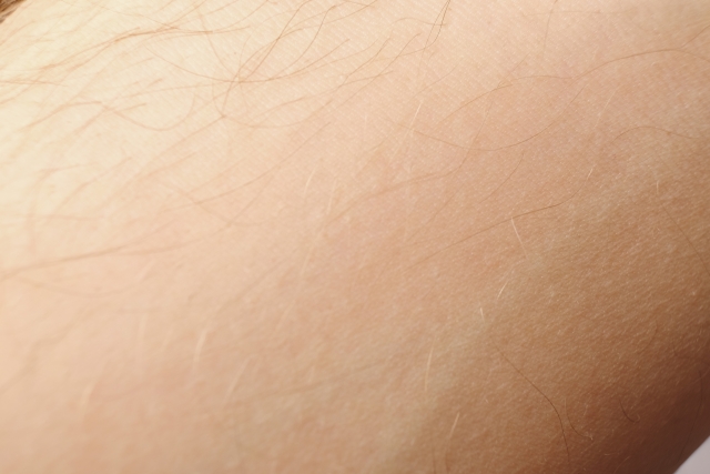 眉毛・体毛が濃い