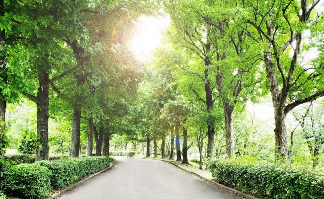 体質改善で精液も変わる