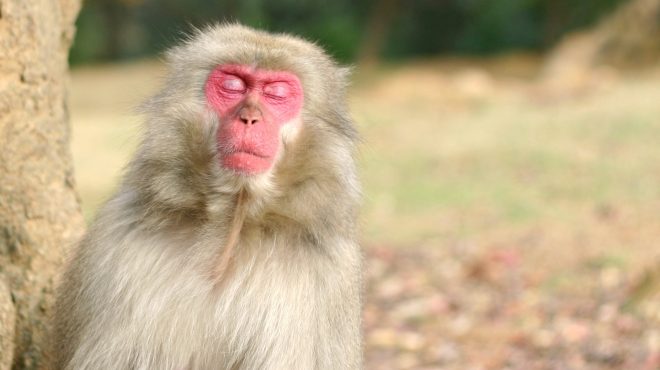 オナニーのやりすぎは厳禁