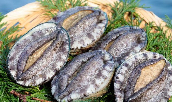 まんこの上付き・下付きって?