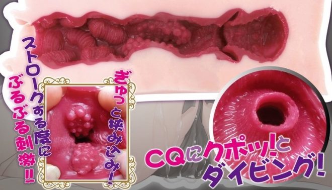 【萌肉CQ】天下一穴の構造