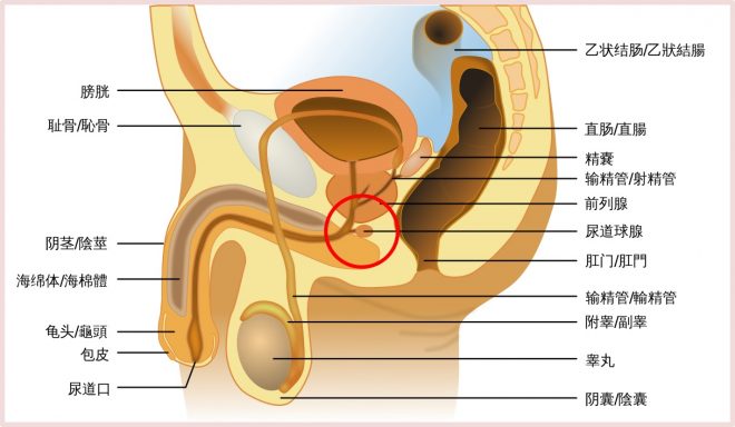 我慢汁が作られる場所