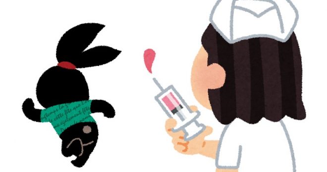 コンドーム未装着は妊娠以外にもリスクが…