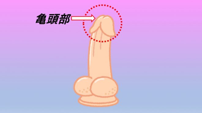 亀頭責めとは?