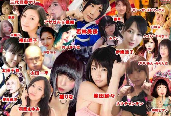 現役キャットファイター