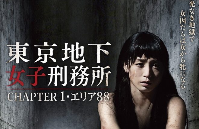 ピンク映画でも活躍