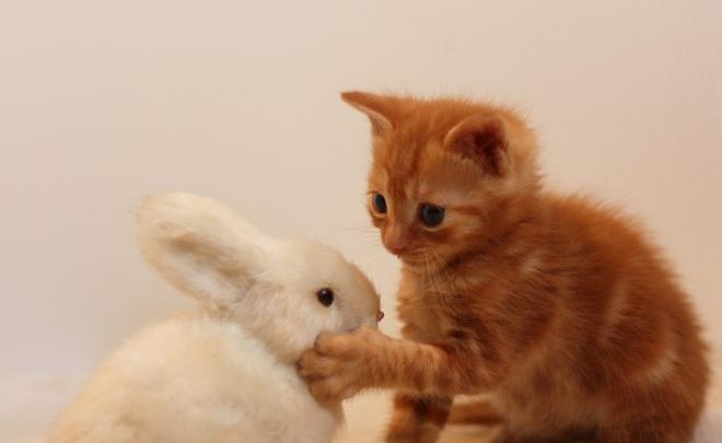 叩かれる(スパンキング)に動じない