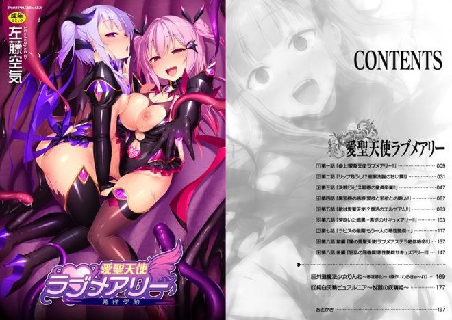 5位：愛聖天使ラブメアリー 〜悪性受胎〜