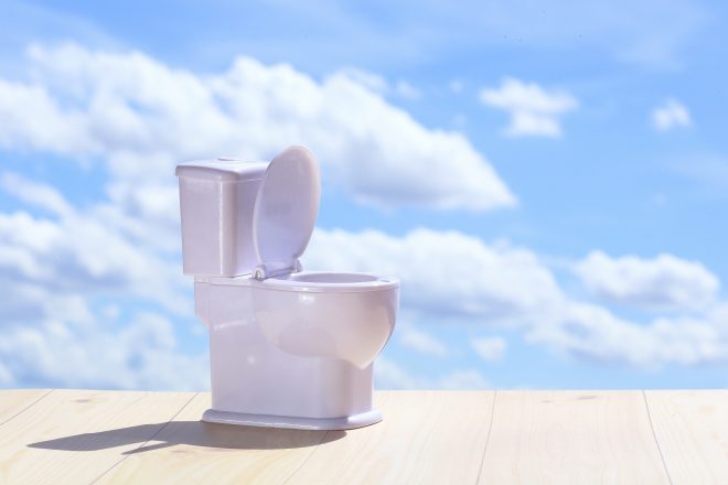 聖水・放尿のエロ動画の種類