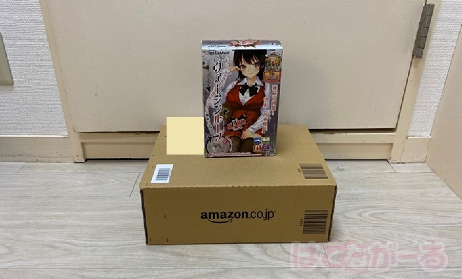 「ヴァージンループハード」の外観チェック1