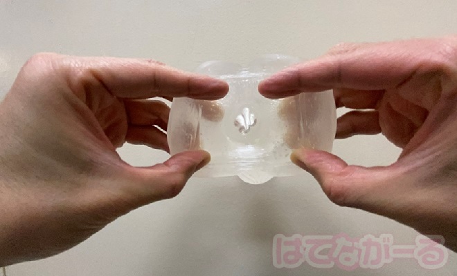 「ヴァージンループハード」の外観チェック3