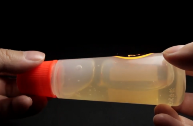 5位アラビックヤマトのり1