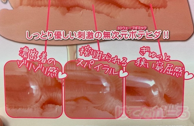 人気の秘密は個性的な内部構造