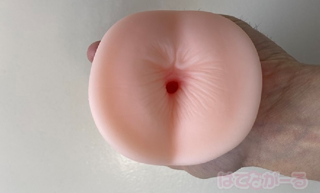まんことアナルの2穴構造4