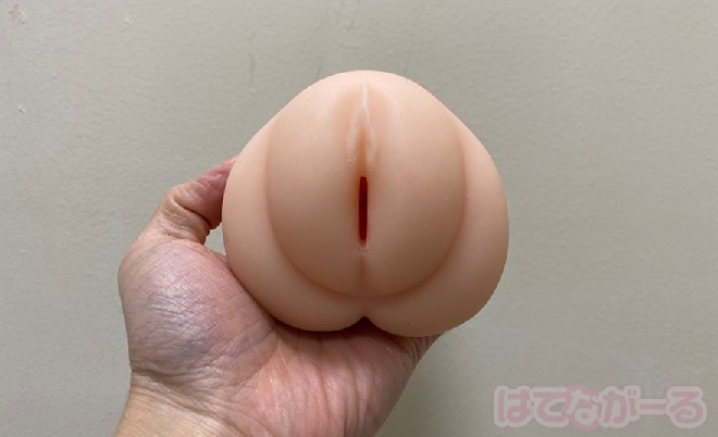 特徴は大きなイボと横ヒダ1