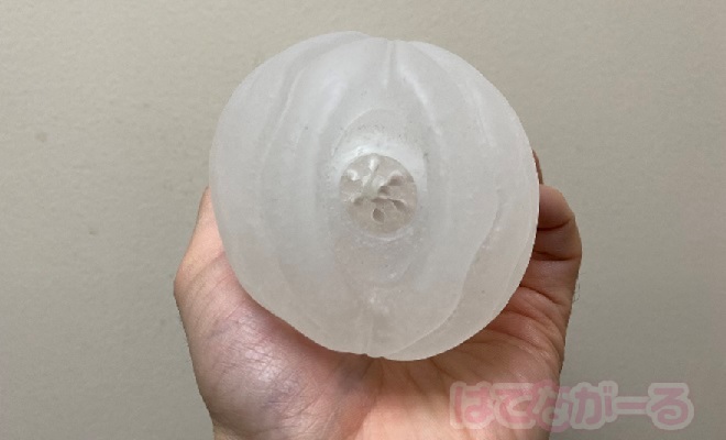 特徴は舵輪型の穴と6本の縦ヒダ