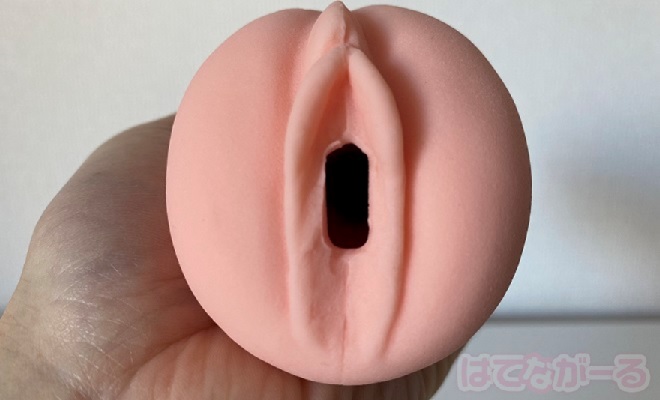 ボルドーの内部の特徴1