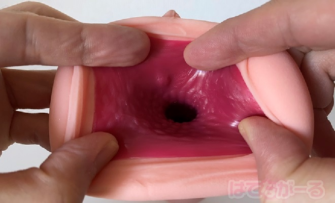 ボルドーの内部の特徴2