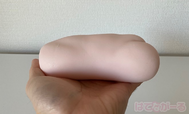 フリルウェーブの外観4