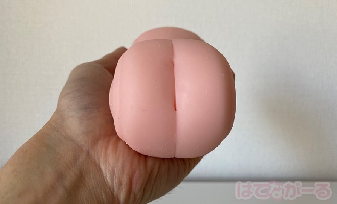 前後で特徴の違う2重構造1