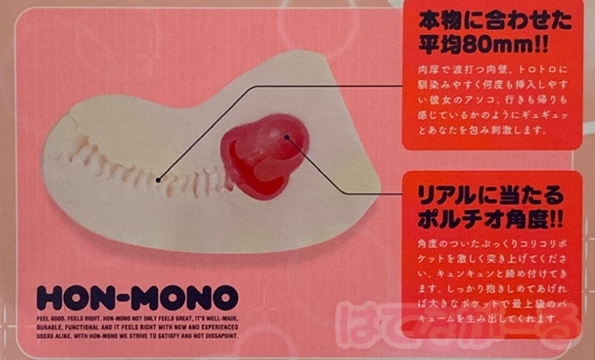 まんこの構造を完全再現1