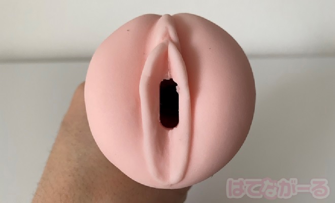 ボルドーソフトの外観をチェック1