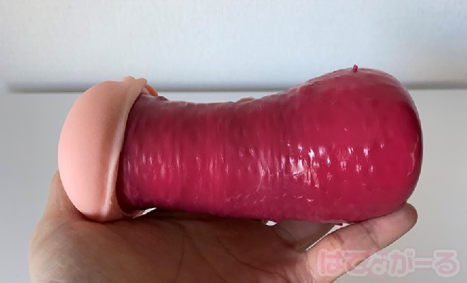 ボルドーの内部の特徴3