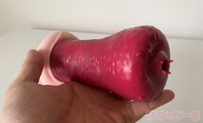 ボルドーソフトの内観をチェック2