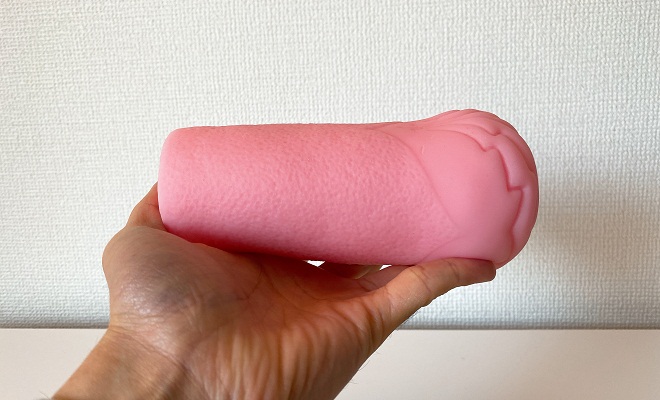 ヴァージンループストロングピッチの外観2