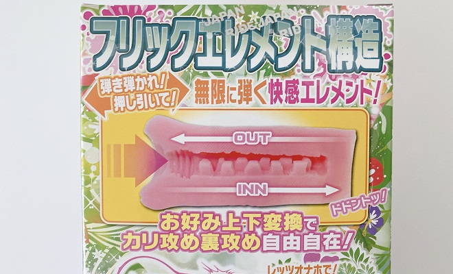 淫弾フリックエレメントの内観1