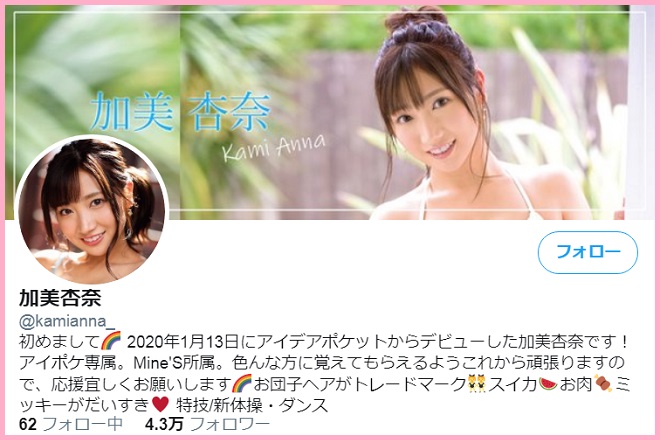 ツイッター(@kamianna_)