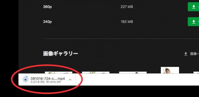 カリビアンコム・ダウンロード5