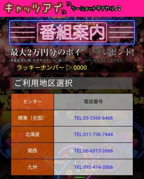 キャッツアイ登録手順2