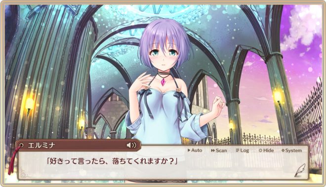 アイリスにプレゼントで親愛度を一気に上昇させる手順8