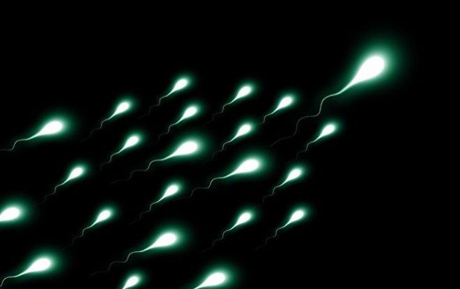 キャッツアイ生盗聴オナニー