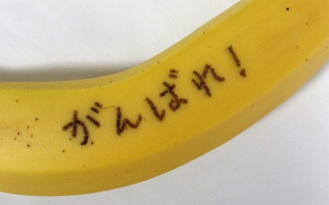 差し入れを持ってくる客