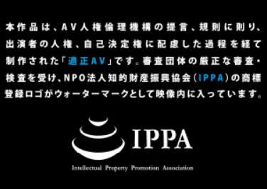 適正AVマーク
