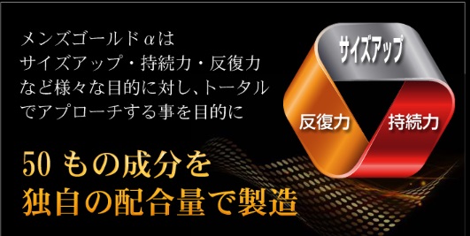 MEN’S GOLD α (メンズゴールドアルファ)画像②