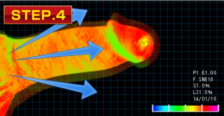MEN’S GOLD α (メンズゴールドアルファ)がペニスに与える影響STEP4