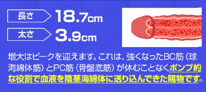 NMN HYBRIDステップ4