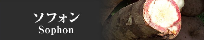 ソフォン