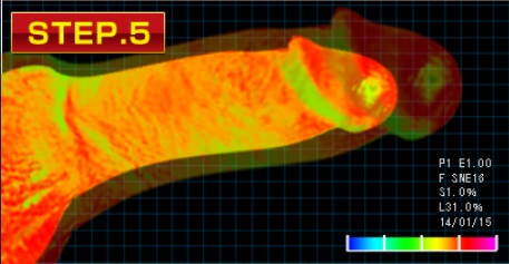 MEN’S GOLD α (メンズゴールドアルファ)がペニスに与える影響STEP5