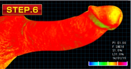 MEN’S GOLD α (メンズゴールドアルファ)がペニスに与える影響STEP6
