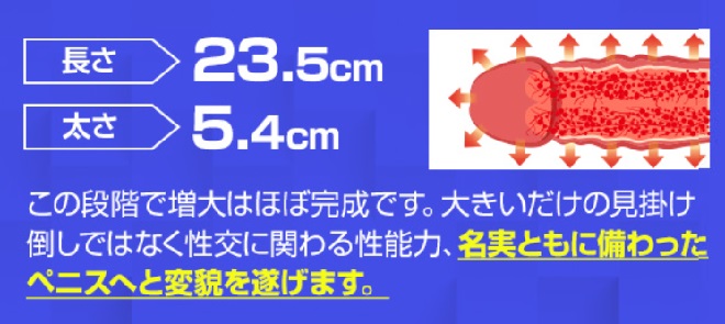 NMN HYBRIDステップ5