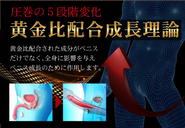 MEN’S GOLD α (メンズゴールドアルファ)画像③