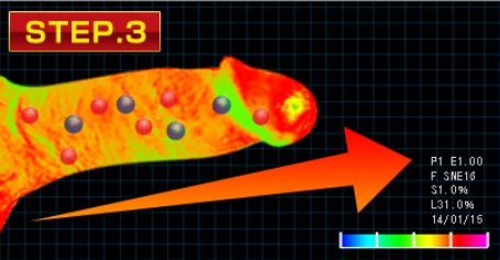 MEN’S GOLD α (メンズゴールドアルファ)がペニスに与える影響STEP3