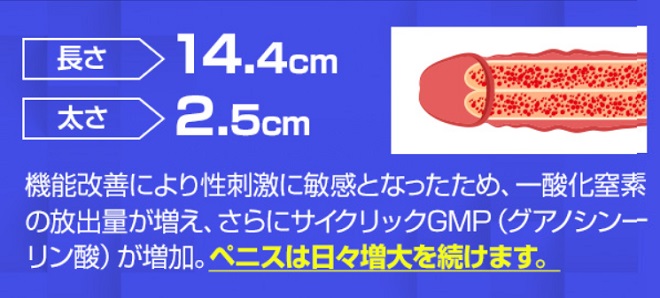 NMN HYBRIDステップ3