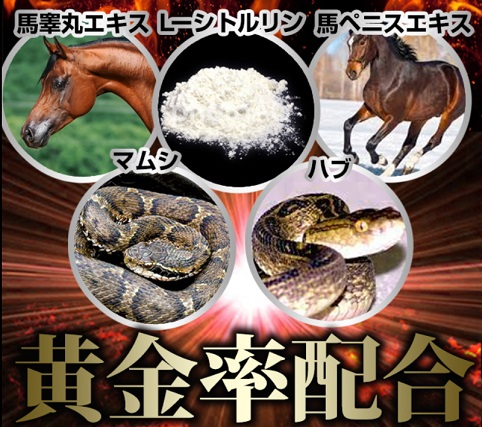 凝縮黒ウコンDEXαの成分